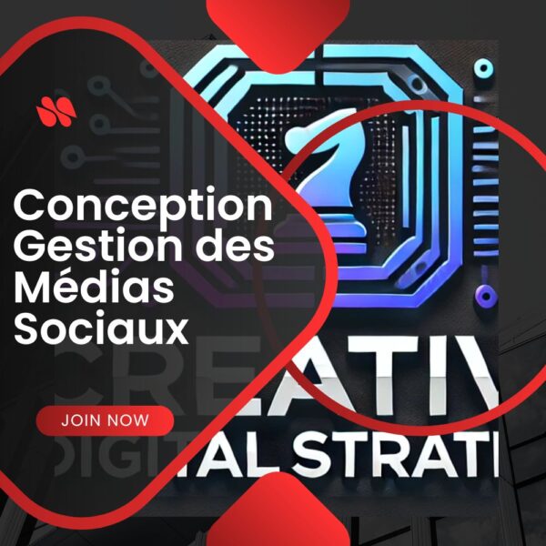 Conception Gestion des Médias Sociaux